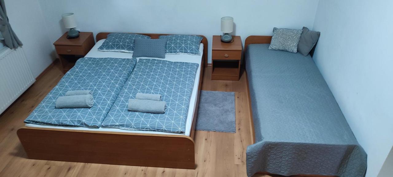 Apartments Vidos Dreznik Grad Ngoại thất bức ảnh