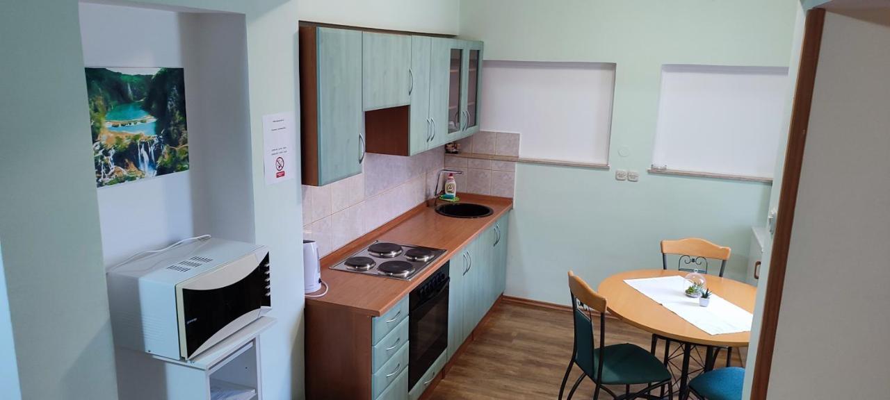 Apartments Vidos Dreznik Grad Ngoại thất bức ảnh