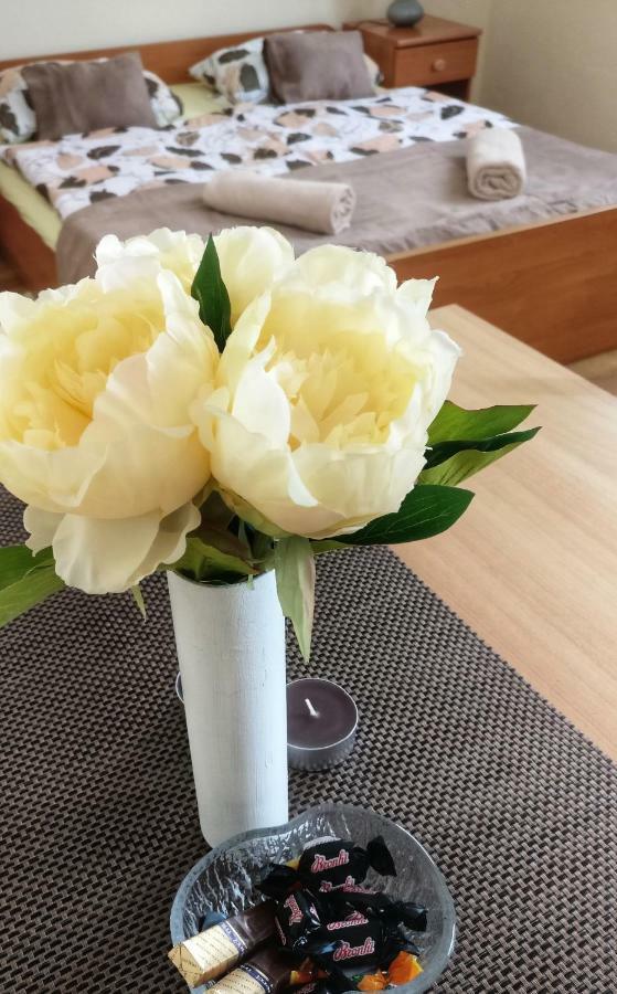 Apartments Vidos Dreznik Grad Ngoại thất bức ảnh